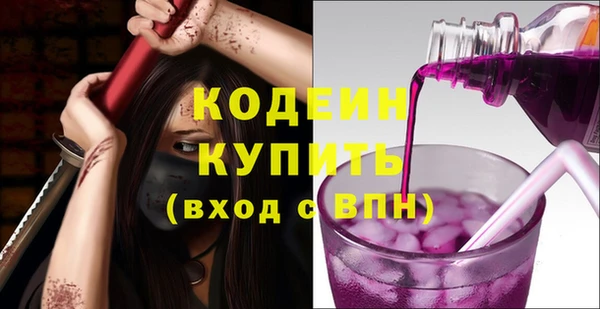 крисы Осинники