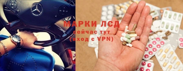 крисы Осинники