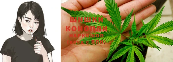 крисы Осинники