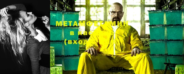 крисы Осинники