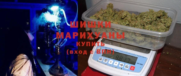 крисы Осинники