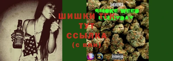 крисы Осинники