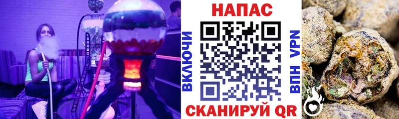 Шишки марихуана марихуана Чехов
